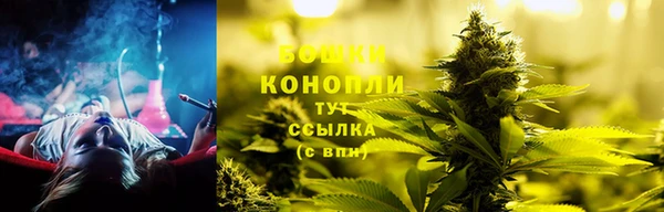 PSILOCYBIN Верхний Тагил