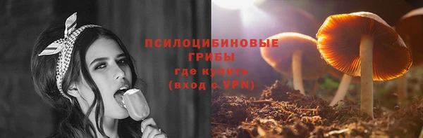 гашик Верхнеуральск