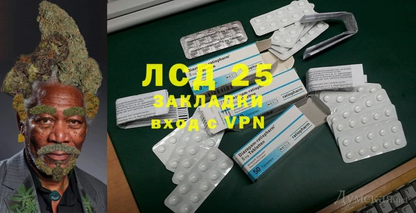 PSILOCYBIN Верхний Тагил