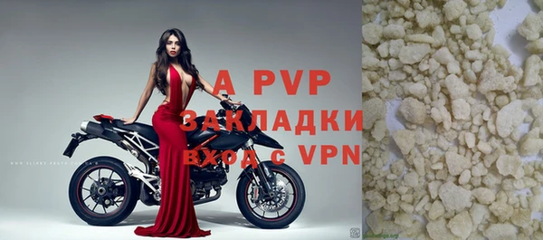 PSILOCYBIN Верхний Тагил